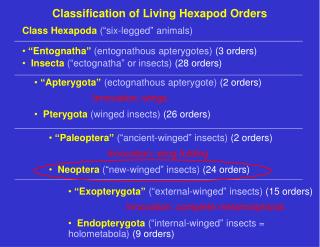 Classification of Living Hexapod Orders