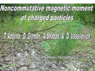 Noncommutative magnetic moment of charged particles
