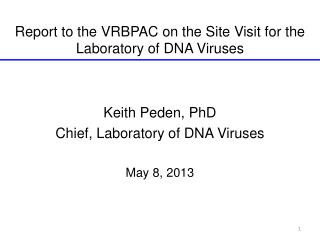 Report to the VRBPAC on the Site Visit for the Laboratory of DNA Viruses