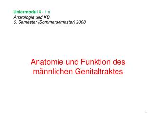 Untermodul 4 - 1 a Andrologie und KB 6. Semester (Sommersemester) 2008