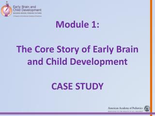 Module 1: The Core Story of Early Brain and Child Development Case Study