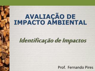 AVALIAÇÃO DE IMPACTO AMBIENTAL