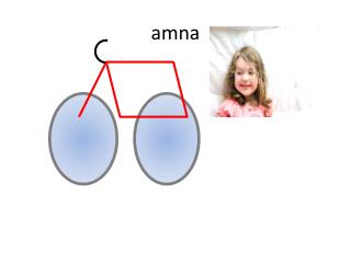 amna