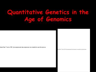 Quantitative Genetics in the Age of Genomics