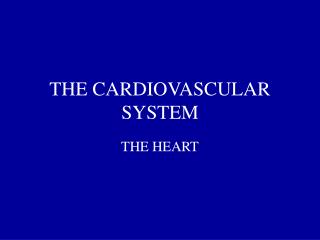 THE CARDIOVASCULAR SYSTEM