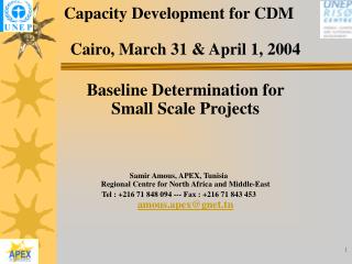 Capacity Development for CDM Cairo, March 31 &amp; April 1, 2004