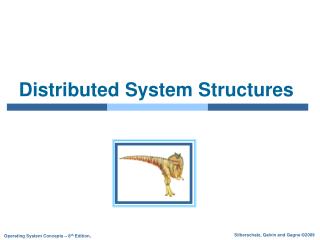 Distributed System Structures