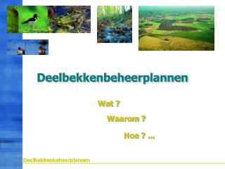 Deelbekkenbeheerplannen