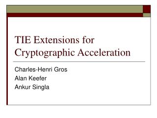 TIE Extensions for Cryptographic Acceleration