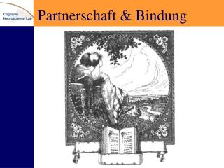 Partnerschaft &amp; Bindung