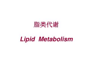 脂类代谢 Lipid Metabolism