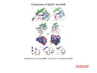 H Hashimoto et al. Nature 000 , 1 -5 (201 4 ) doi:10.1038/nature 12905