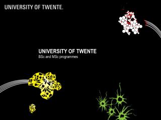 UNIVERSITY OF TWENTE