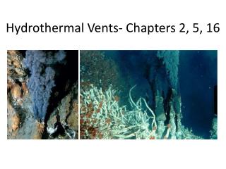 Hydrothermal Vents- Chapters 2, 5, 16