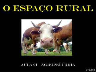 O ESPAÇO RURAL AULA 01 – AGROPECUÁRIA