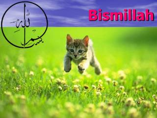 Bismillah