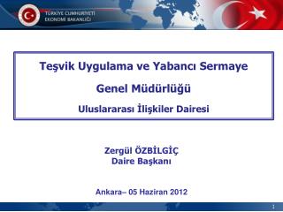 Teşvik Uygulama ve Yabancı Sermaye Genel Müdürlüğü Uluslararası İlişkiler Dairesi