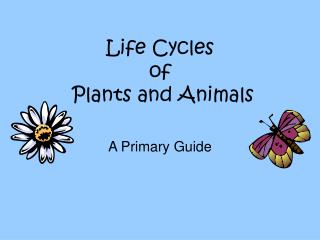 Life Cycles of Plants and Animals