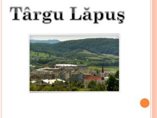 T ârgu Lăpuş