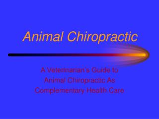 Animal Chiropractic