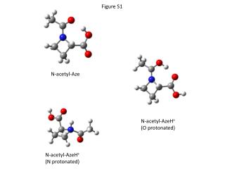 N-acetyl-Aze