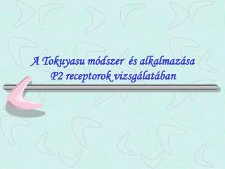 A Tokuyasu módszer és alkalmazása P2 receptorok vizsgálatában