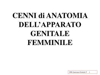 CENNI di ANATOMIA DELL’APPARATO GENITALE FEMMINILE