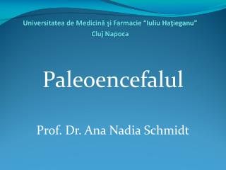 Paleoencefalul Prof. Dr. Ana Nadia Schmidt