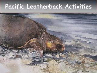 P acific Leatherback Activities