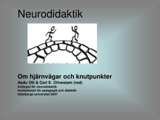 Neurodidaktik 	Om hjärnvägar och knutpunkter 	Aadu Ott &amp; Carl E. Olivestam (red)