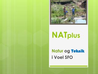 NAT plus