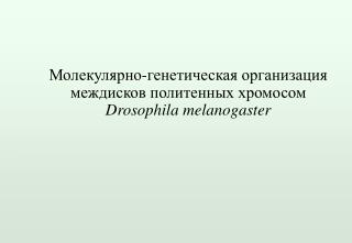 Молекулярно-генетическ а я организация междисков политенных хромосом Drosophila melanogaster