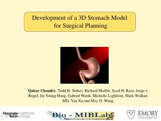 Development of a 3D Stomach Model for Surgical Planning