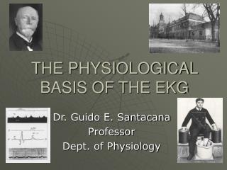 THE PHYSIOLOGICAL BASIS OF THE EKG