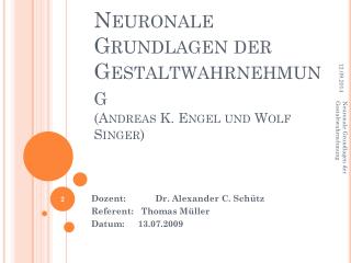 Neuronale Grundlagen der Gestaltwahrnehmung (Andreas K. Engel und Wolf Singer)