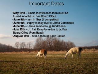 Important Dates