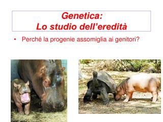 Genetica: Lo studio dell’eredità