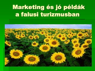 Marketing és jó példák a falusi turizmusban