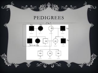 Pedigrees