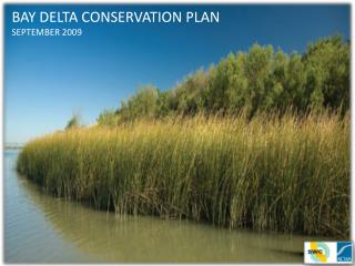 BAY DELTA CONSERVATION PLAN SEPTEMBER 2009