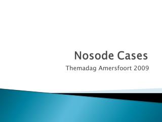 Themadag Amersfoort 2009