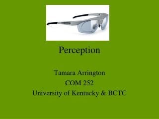 Perception