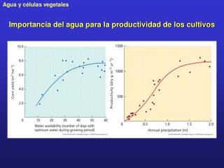 Importancia del agua para la productividad de los cultivos