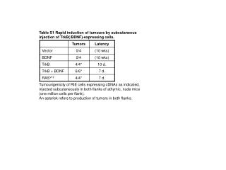 Table S1 Rapid induction of tumours by subcutaneous injection of TrkB(/BDNF)-expressing cells.