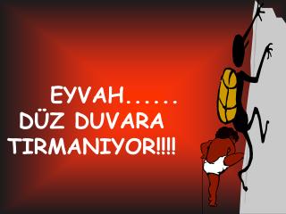 EYVAH...... DÜZ DUVARA TIRMANIYOR!!!!