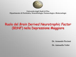 Ruolo del Brain Derived Neurotrophic Factor (BDNF) nella Depressione Maggiore