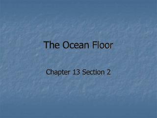 The Ocean Floor