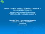 SECRETAR A DE ESTADO DE MEDIO AMBIENTE Y RECURSOS NATURALES Subsecretar a de Gesti n Ambiental PROGRAMA DE PRODUCCION LI