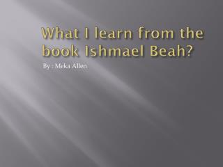 What I learn from the book I shmael Beah?