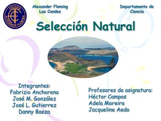 Selección Natural